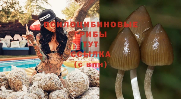 соль ск Касимов