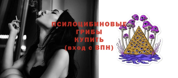 ГАЛЛЮЦИНОГЕННЫЕ ГРИБЫ Киренск