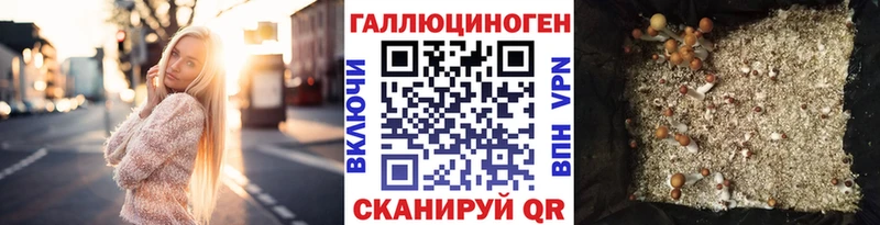 Псилоцибиновые грибы мицелий  Купить закладки  Симферополь 